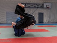 DSC 7955