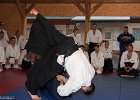 IMG 3778