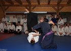 IMG 3779