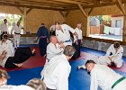 IMG 3915