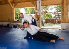 IMG 3965