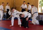 IMG 3978