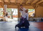 IMG 3990