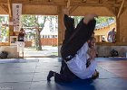 IMG 3991