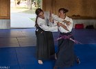 IMG 4018