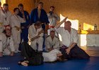 IMG 4025