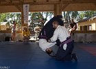IMG 4127