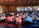 IMG 4187