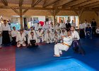 IMG 4208