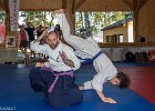 IMG 4237