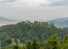 DSC 8301