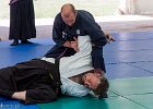 IMG 8145-2