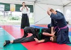 IMG 8164