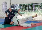 IMG 8176