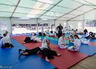 IMG 8225
