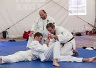 IMG 8229