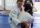 IMG 8258