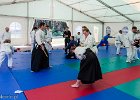 IMG 8341