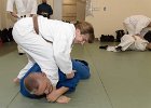 DSC 1436