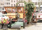 IMG 8874