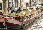 IMG 8882