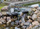 IMG 4828