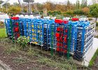 IMG 4842