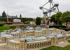 IMG 4872